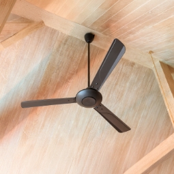 Ceiling Fans